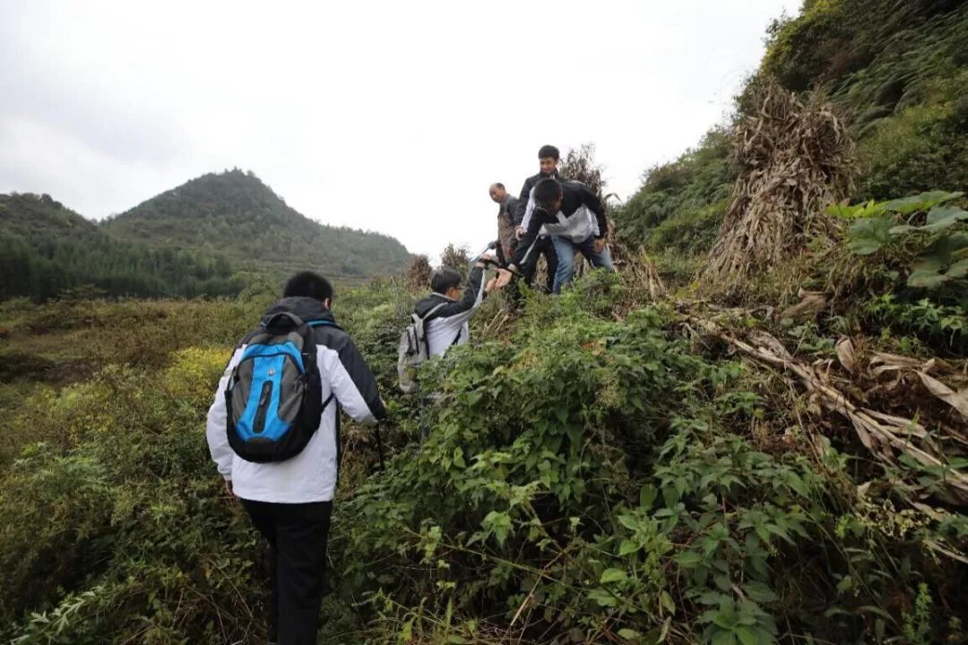 澳足总: 阿德莱德彗星战胜坎伯兰联 比分2:3-IM电竞官网