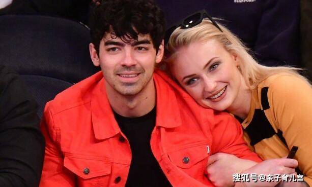 【IM电竞官网】越南新发蓝耳病疫情 681头病例(图1) IM电竞平台