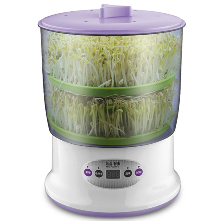 香蕉快要灭绝了？真相在这里_IM电竞