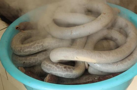 威尔-史密斯：最爱巴西也粉C罗‘IM电竞平台’