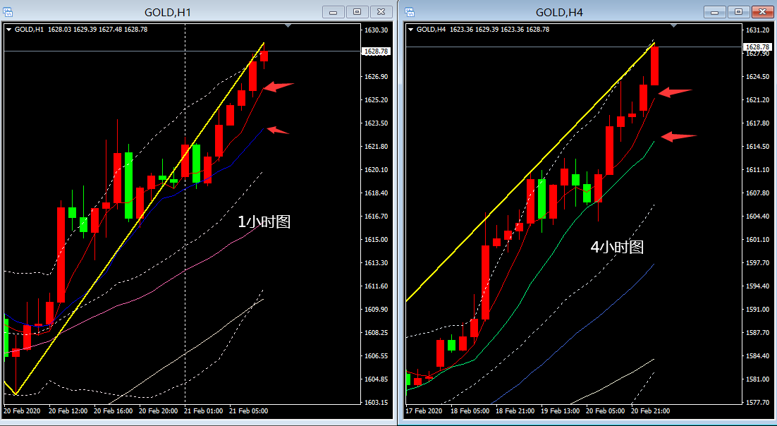 IM电竞官网|生猪呼吸道疾病恐多发猪肉价格涨幅趋缓