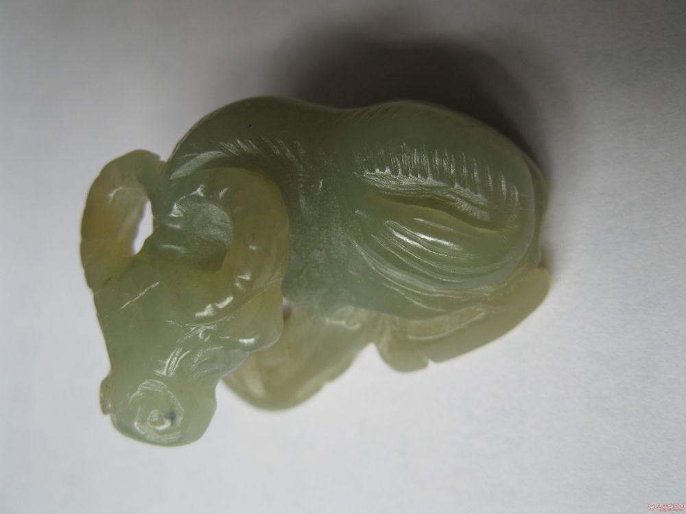 ‘IM电竞官网’太仓整治非法养殖场进展顺利，效果明显