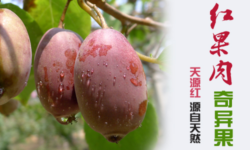 ‘IM电竞平台’克罗地亚战英格兰，恰克尔执法